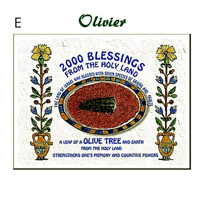 Cartes de bénédictions des 7 espèces-O-Judaisme