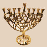 Hanoukia Toupies et Magen David