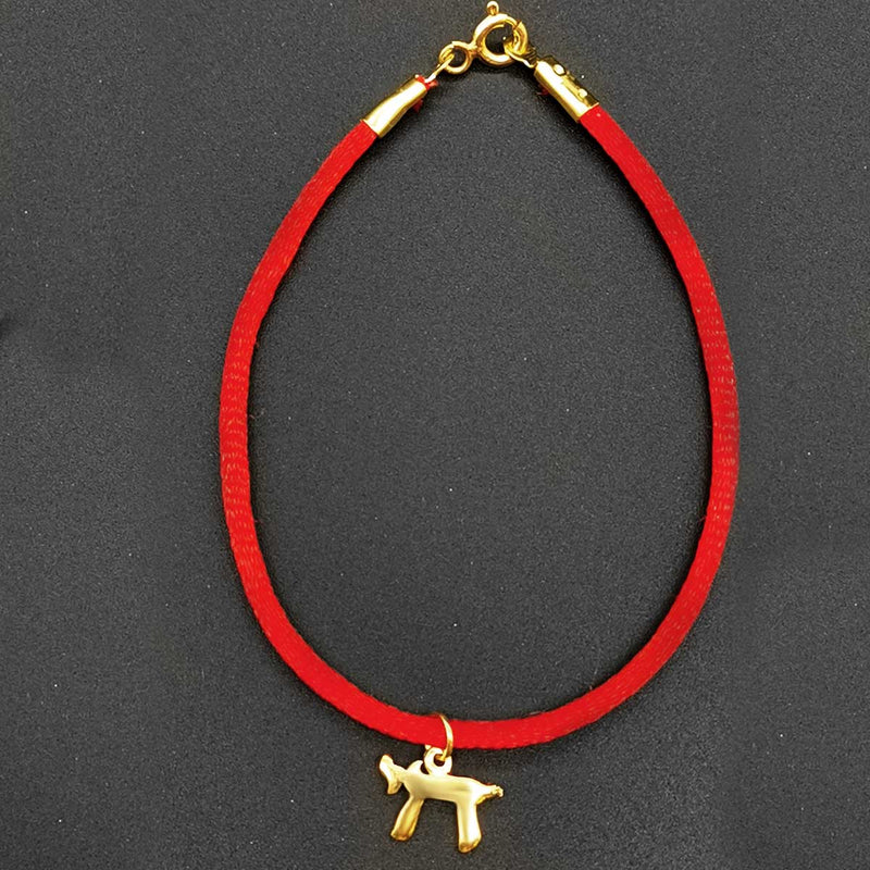 La combinaison de la médaille "HAÏ" et du bracelet fil rouge de la kabbale accorde protection et longue vie à celui ou celle qui le portera.