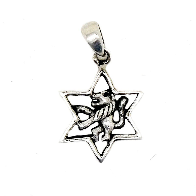 L'Étoile de David et son Gardien-O-Judaisme